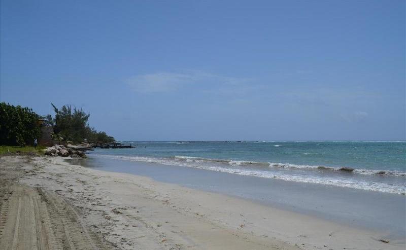فيلا Ocho Rios Under The Palms المظهر الخارجي الصورة