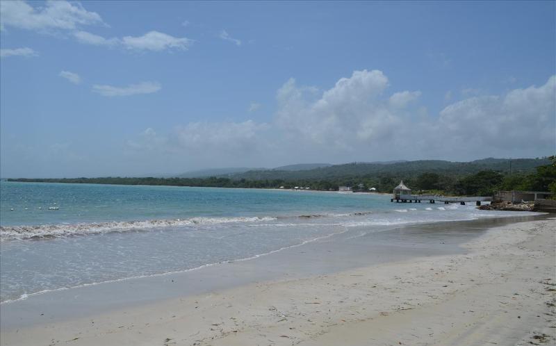 فيلا Ocho Rios Under The Palms المظهر الخارجي الصورة